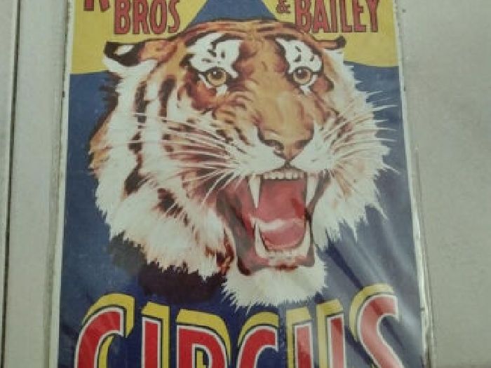 Plaque en métal Vintage avec motif  Circus Barnum - 30 cm x 20 cm 